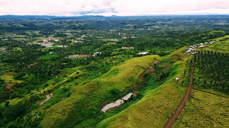 Taytay hills Bohol