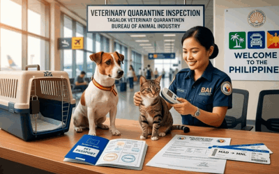Cómo llevar a tu perro o gato de España a Filipinas
